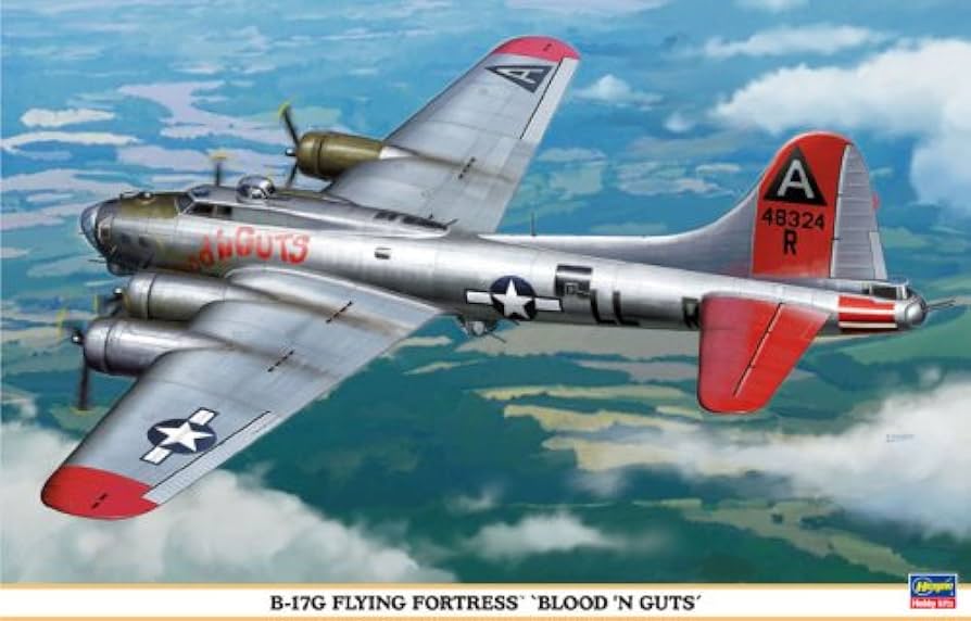 Hasegawa 1/72 B-17G Flying Fortress "Blood'n Guts"